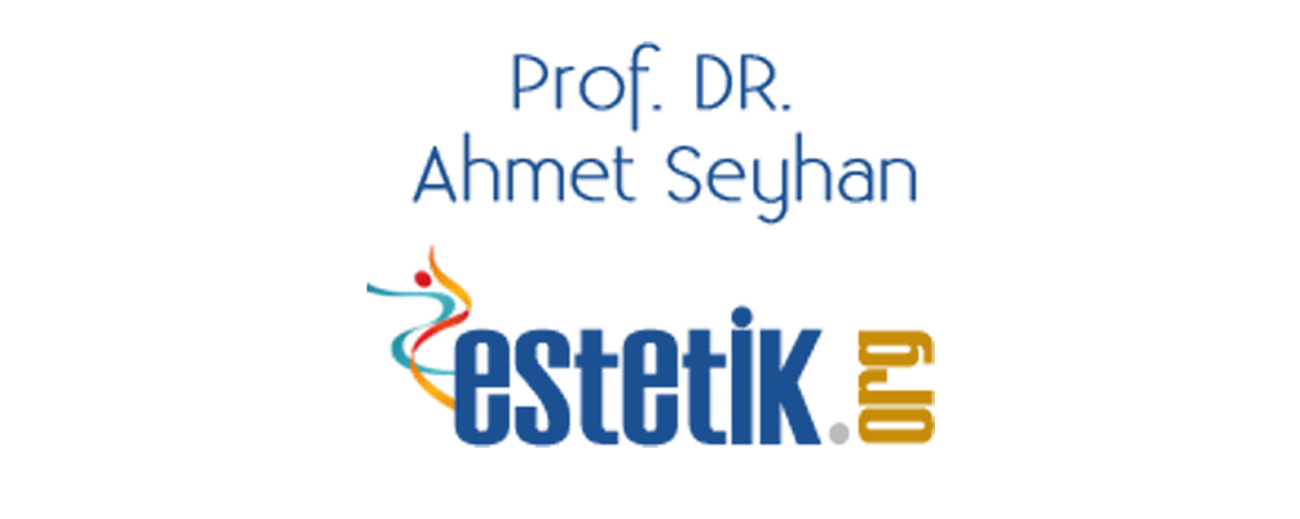 Prof. Dr. Ahmet Seyhan Villası